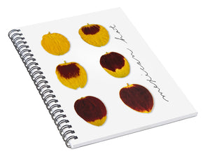 Mexican Hat Spiral Notebook